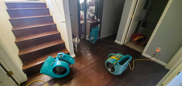 Best Flood restoration services  in Deming, NM