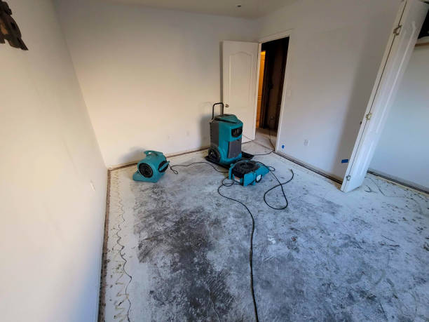 Best Mold removal after water damage  in Deming, NM