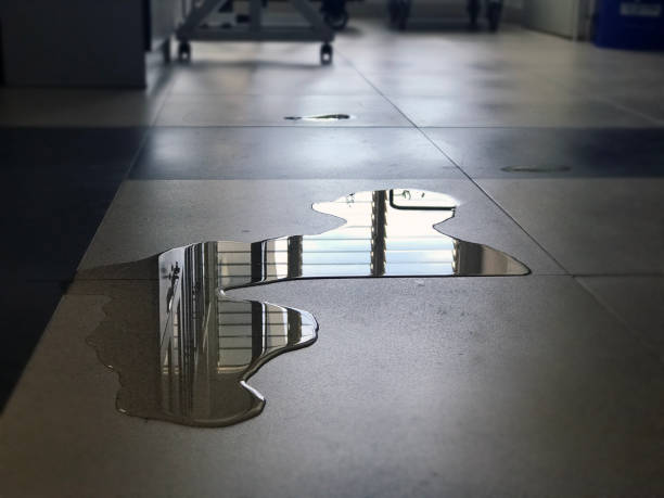 Best Water damage mitigation services  in Deming, NM