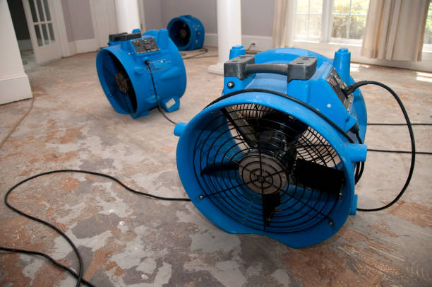 Best Professional water damage repair  in Deming, NM