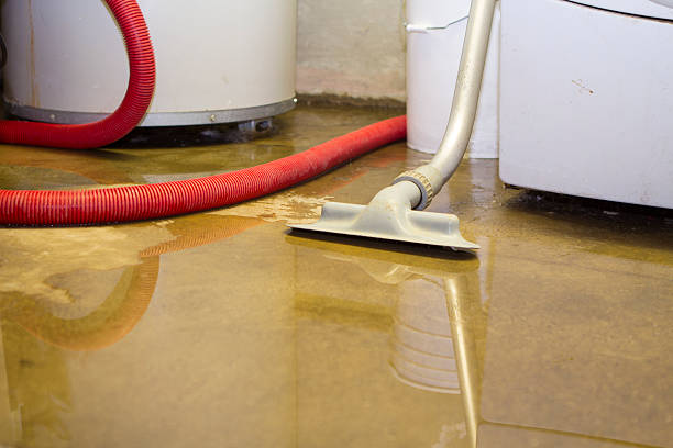 Best Commercial water damage restoration  in Deming, NM