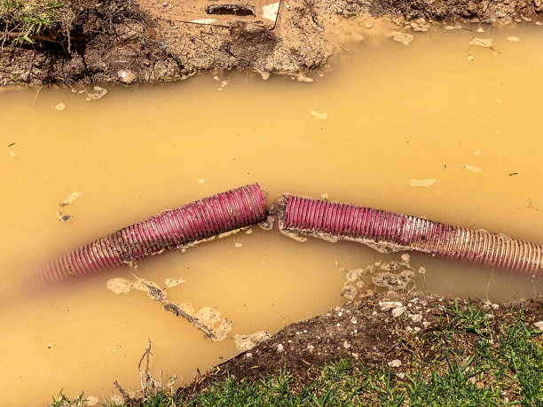 Best Water damage cleanup near me  in Deming, NM